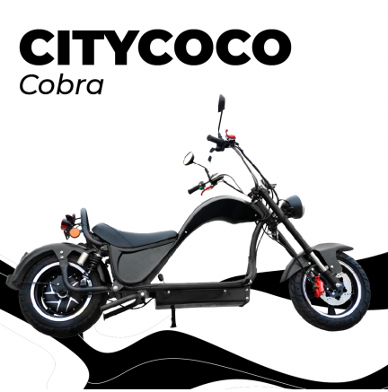 CityCoco Cobra 49e 2000W / 24 AH Noir (Double batterie)